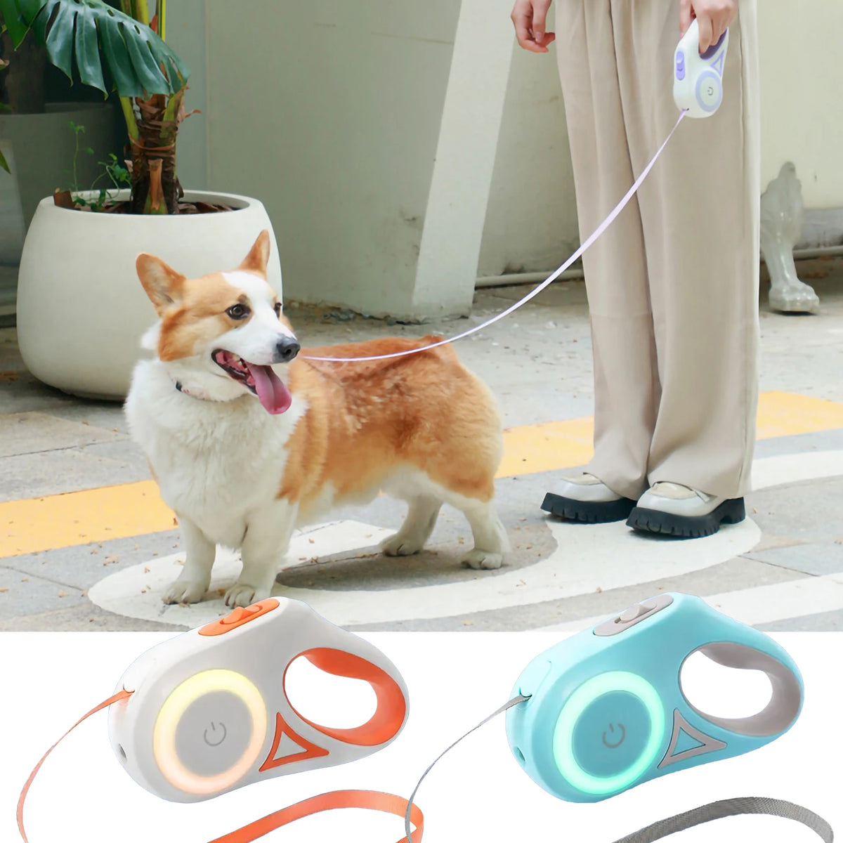 Luminous dog leash automatic - BESTGADZET